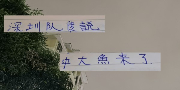 中超第29轮 申花打深圳更加难了！因为他们引进了一个英超射手